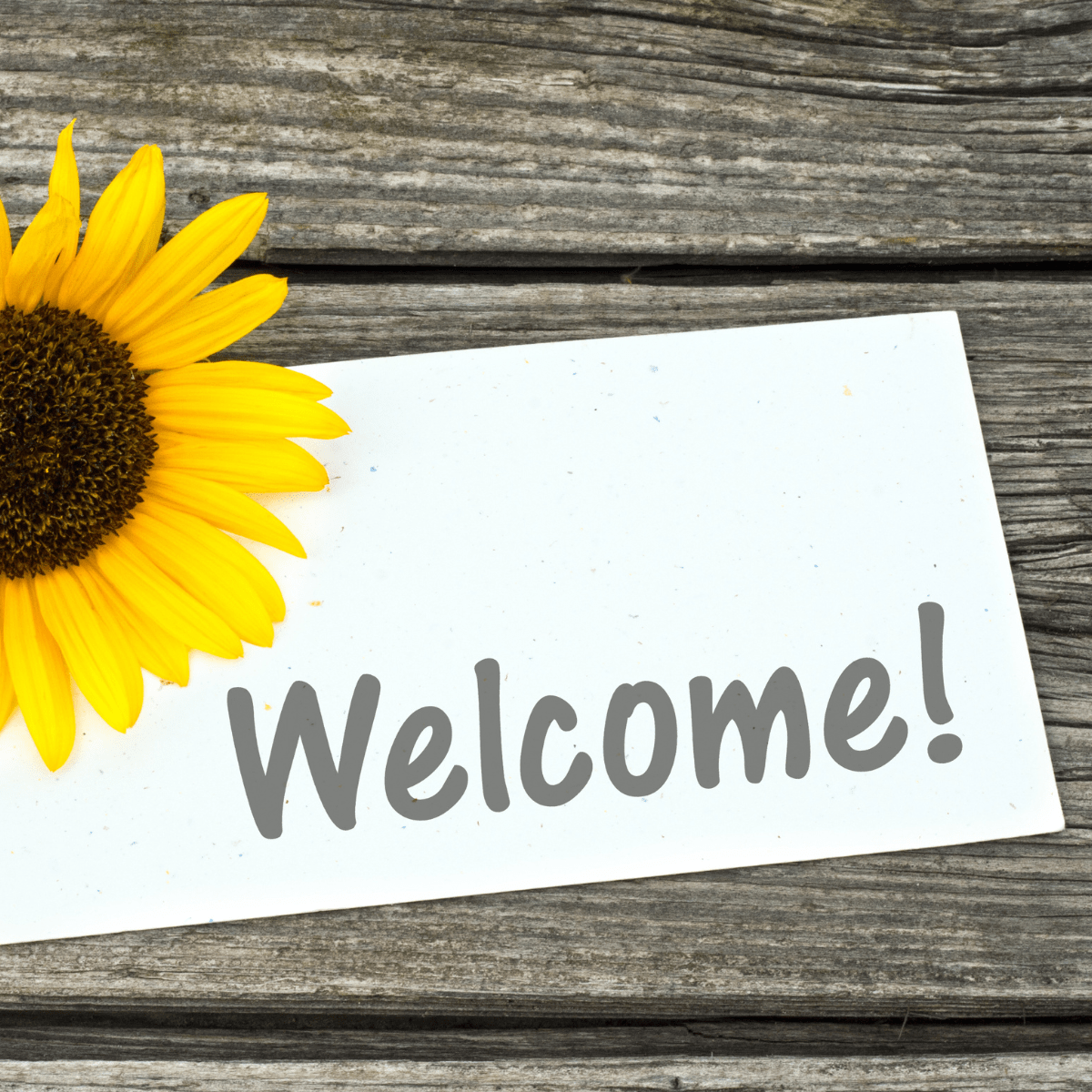 Welcome card with a sunflower